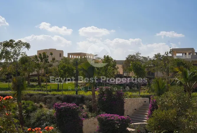 118800811 - صورة العقار 3