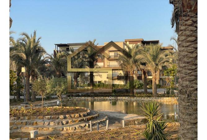 54496099 - صورة العقار 3