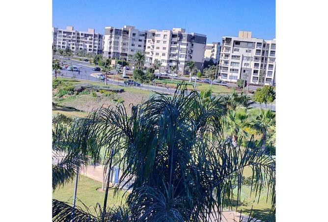 61925385 - صورة العقار 2