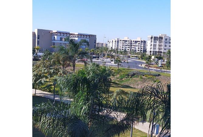 61925385 - صورة العقار 3