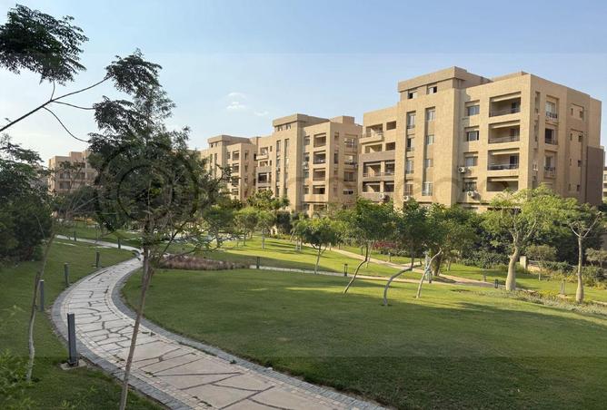 63135098 - صورة العقار 3