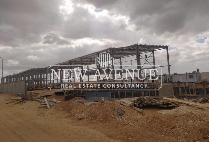 61689003 - صورة العقار 3