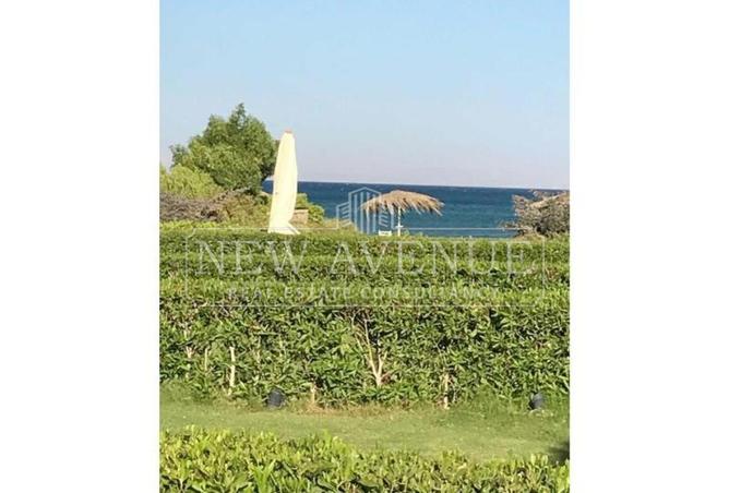 74304921 - Property Image 3