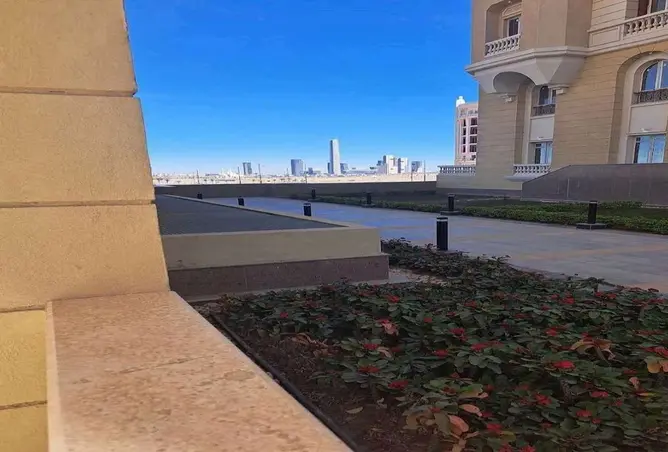 99800010 - صورة العقار 3
