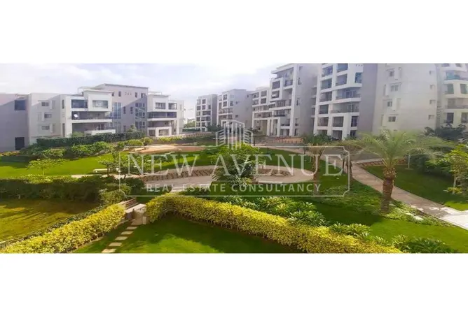 113255747 - Property Image 2