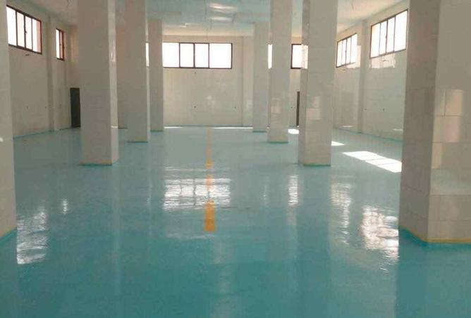 57747667 - صورة العقار 3