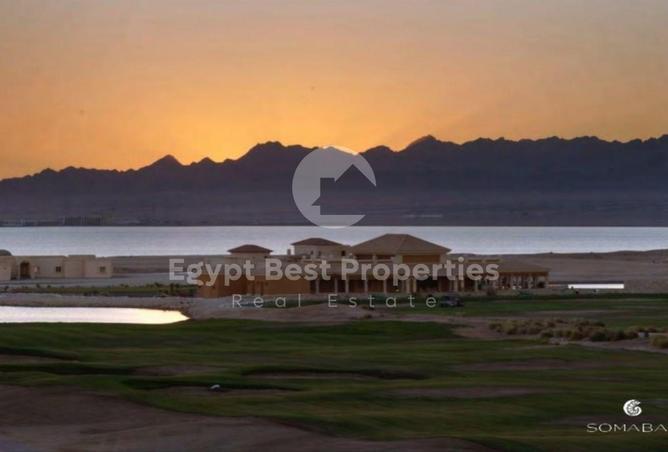 82101506 - صورة العقار 2
