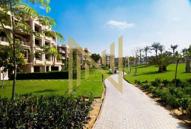 105735098 - Property Image 3