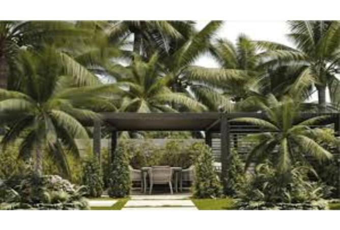 55506714 - Property Image 3