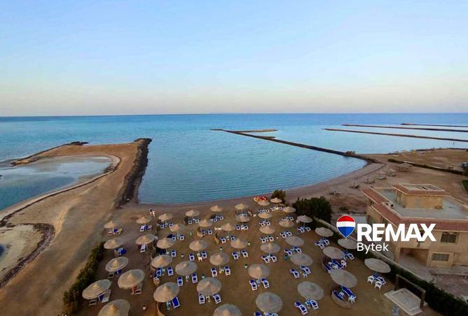 91560283 - صورة العقار 2