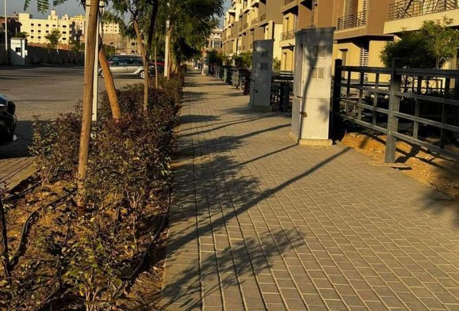 8720821 - Property Image 3