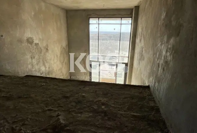 113535754 - Property Image 3