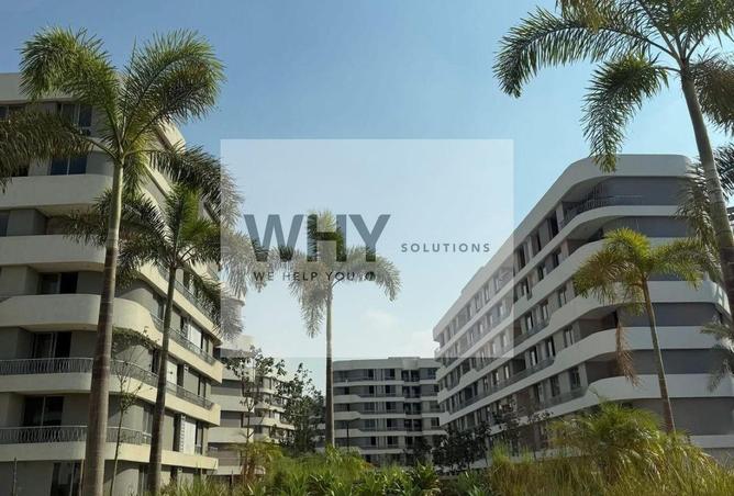 8650707 - Property Image 3