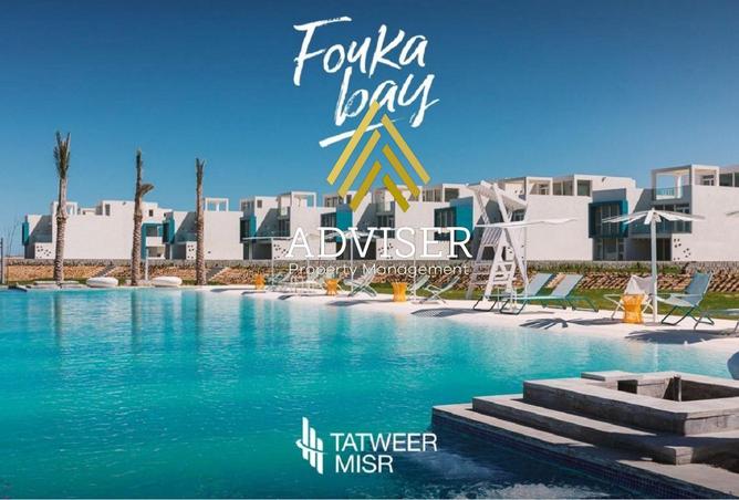 66172206 - صورة العقار 3