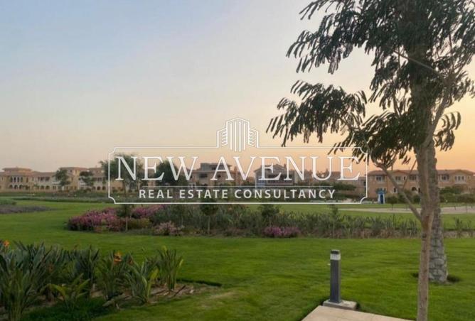 69047585 - Property Image 3