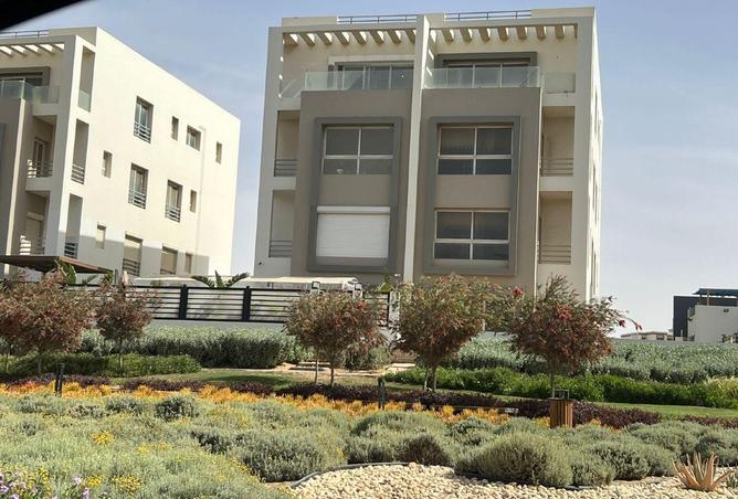 77051531 - صورة العقار 3
