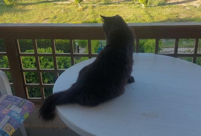 8443064 - Property Image 3