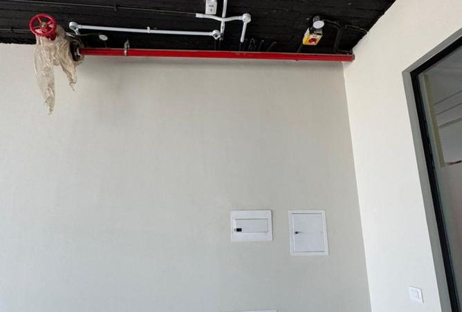 56001831 - Property Image 3