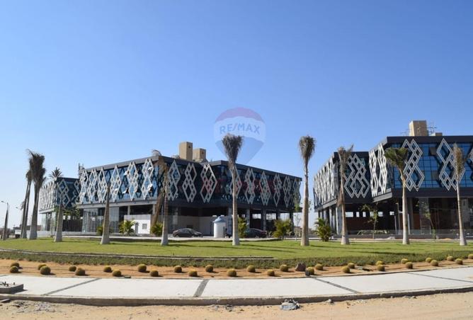 75958515 - صورة العقار 3