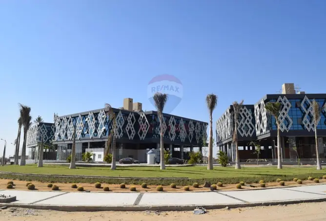 75958515 - صورة العقار 3