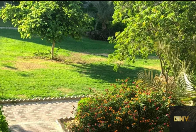 108247918 - صورة العقار 3