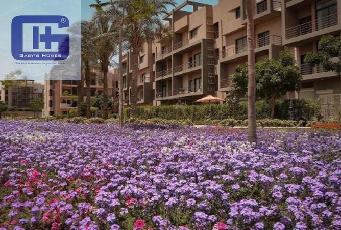 8701095 - صورة العقار 3