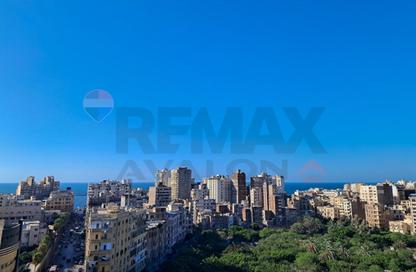 Apartment - 3 Bedrooms - 3 Bathrooms for sale in Raml Station - Hay Wasat - Alexandria