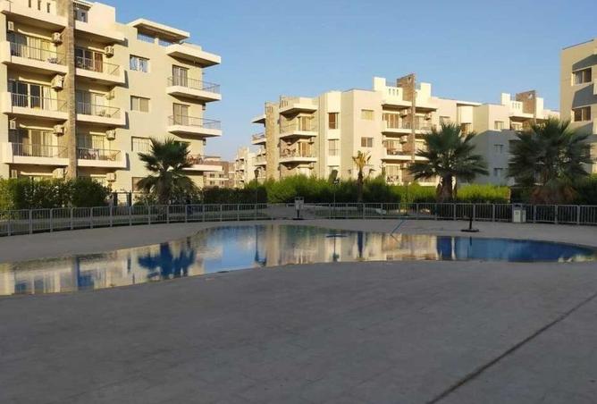 56251561 - Property Image 3