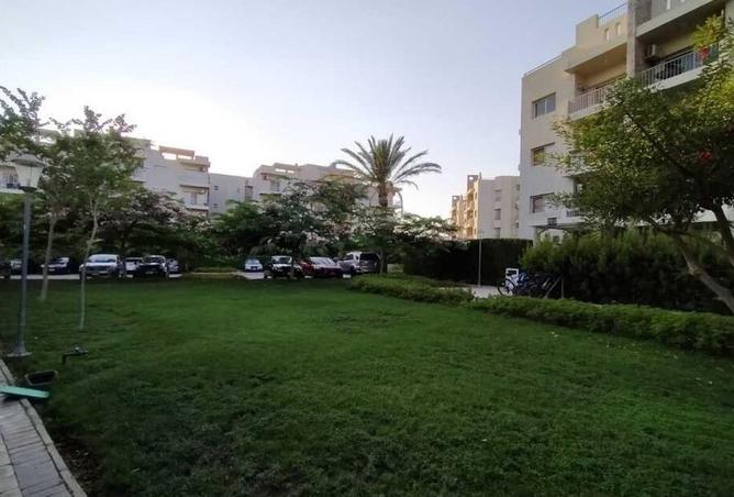 56251561 - Property Image 2