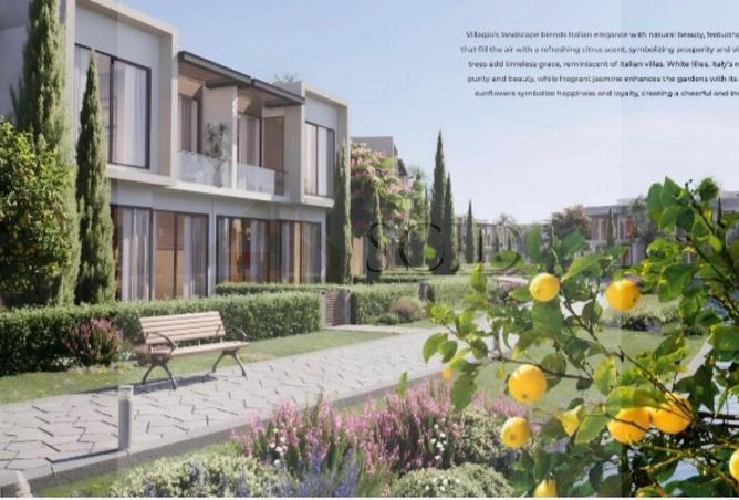 64895036 - Property Image 2