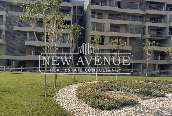 58002391 - صورة العقار 3