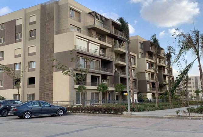 66174433 - Property Image 2