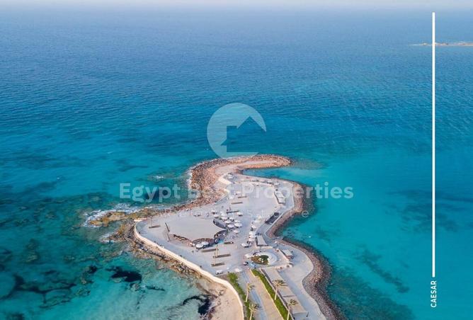 61692435 - صورة العقار 2