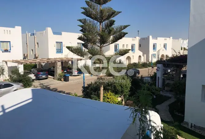 120353867 - صورة العقار 3
