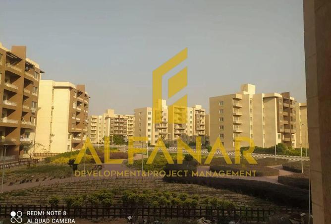 8703557 - Property Image 3