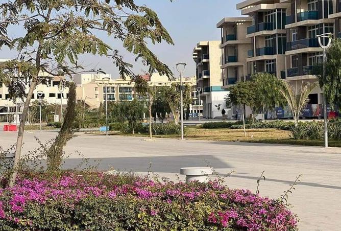 8460847 - الصورة الرئيسية للعقار