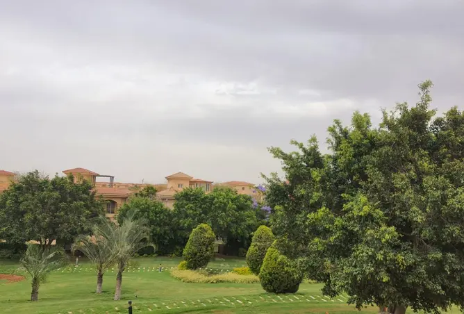 116228361 - صورة العقار 3