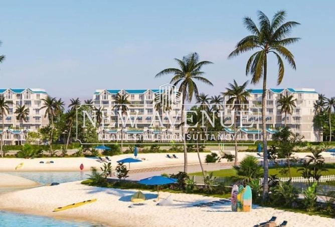 63135051 - Property Image 2