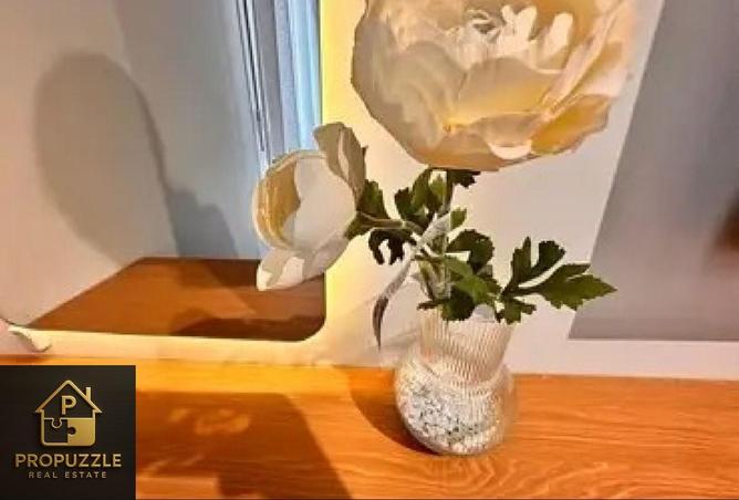 54234026 - Property Image 2