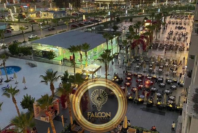 57745484 - Property Image 2