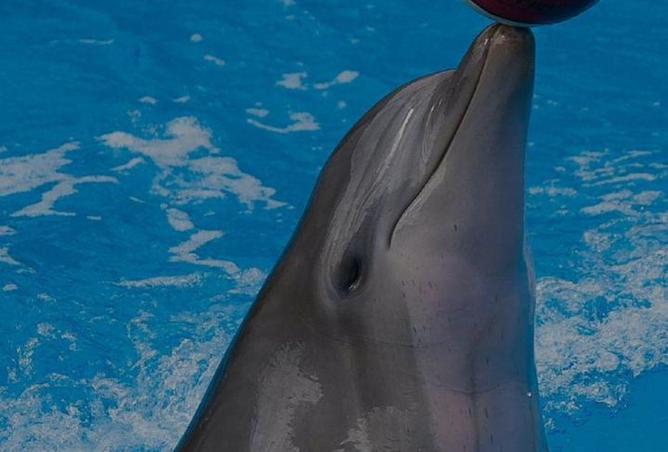 8587707 - صورة العقار 2