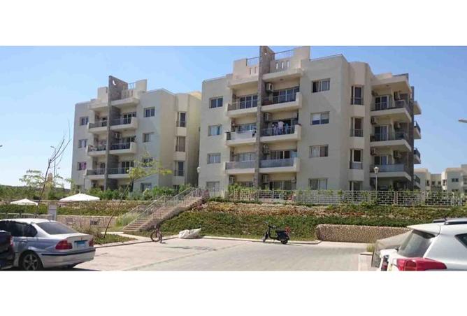 92132971 - Property Image 3