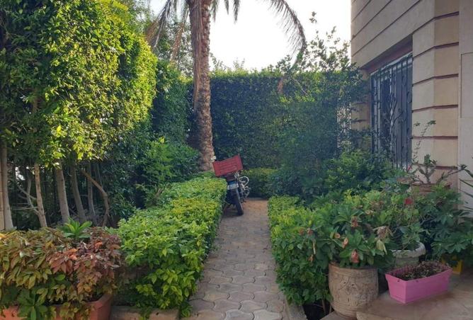 52707074 - Property Image 3