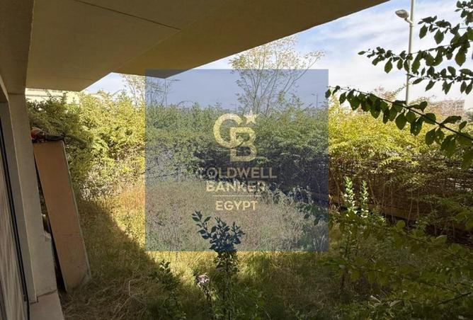 65148277 - الصورة الرئيسية للعقار