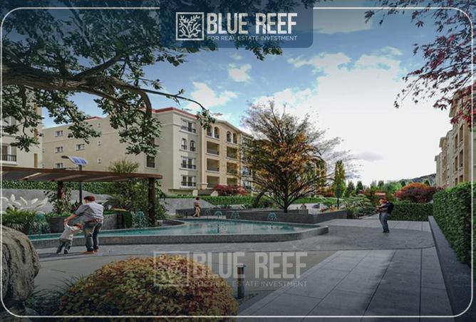 67479605 - Property Image 2