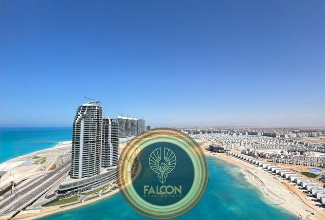 75681903 - صورة العقار 3