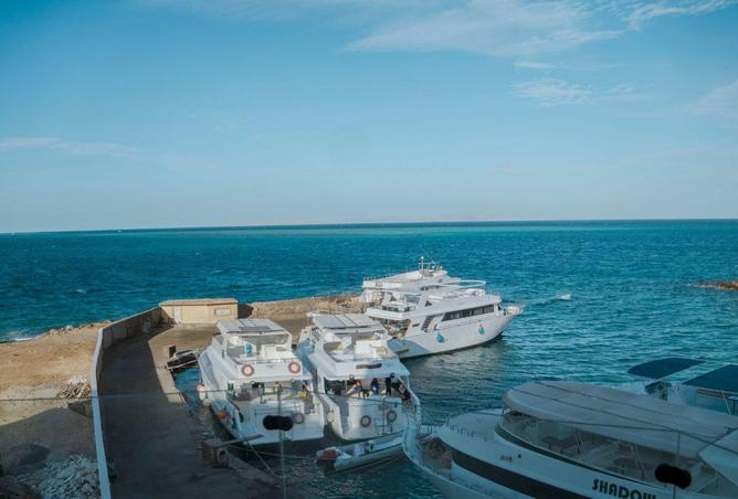 8673869 - Property Image 2