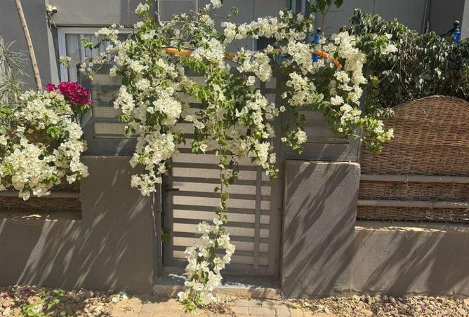 8363401 - Property Image 3