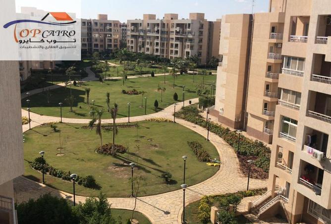 80782478 - صورة العقار 2