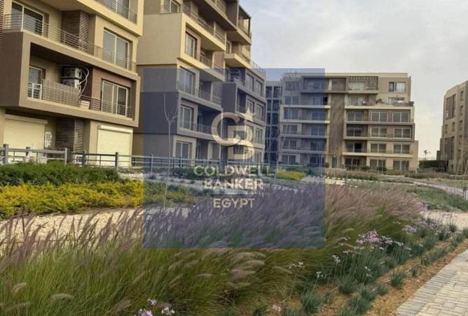 74316442 - Property Image 3